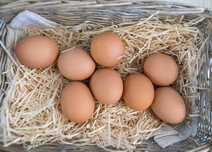 Aparthotel La Vecchia Posta - E